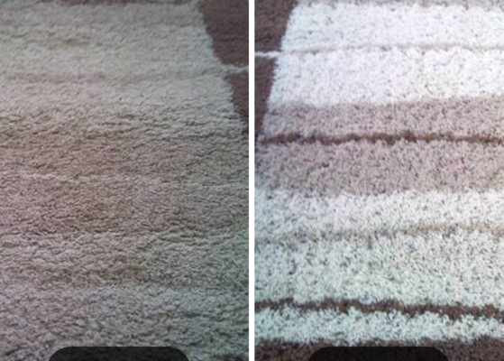 Чистка ковролина в квартирах, в офисах